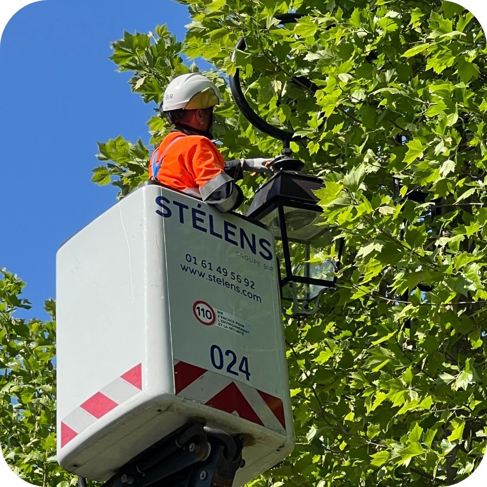 Stélens-excellence