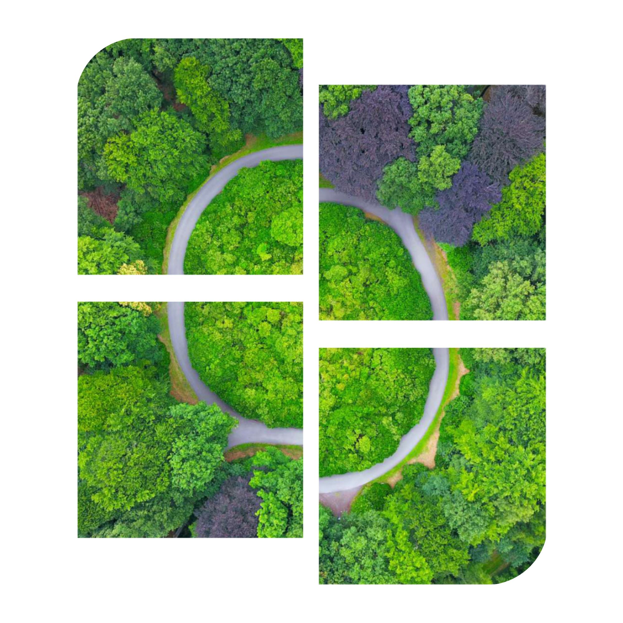 Stélens-engagements-démarche-QSE